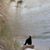 Suzanne Nelson's profile image