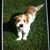 Ben Hensley's profile image