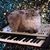 Sinoun Chea's profile image