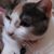 Donna Ray's profile image