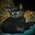 Vicky Treleaven's profile image