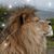 Hilda Louise Roe's profile image
