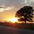 Amanda Bomar's profile image
