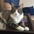 Sandy Pasco Walker's profile image