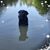 Cristina Carolina Granja's profile image