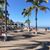 Carol Harner's profile image