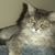 Karen Langert's profile image