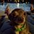 Christella Almaguer's profile image