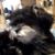 Monica Campbell's profile image