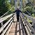 Mike Cottle's profile image