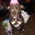 Pamela Beth Cornish-armstead's profile image