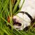 Donna Beasley's profile image