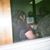 Christopher Wooten's profile image