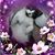 Dennis Vest's profile image