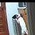 Scott Fiscus's profile image