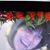 Lesly L Fuchs's profile image