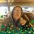 Jo Bower-Nelson's profile image
