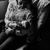 Kayla Meadors Sides's profile image