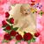 Brownie Hendricks's profile image