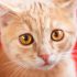 KIERSTEN N.'s profile image