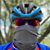 Lane Parker's profile image