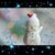 Kathy Mueller's profile image