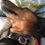 Tra Xander Hartman's profile image