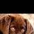 Nomi Ben Smith's profile image