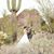 Scott Culbertson's profile image
