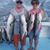 Julie Scholz Tomasik's profile image