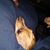 Cherri Pacatte's profile image