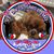 Gail Roseman's profile image