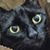 Harvey Fielder's profile image