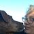 Fran Dvorak's profile image