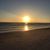 Michelle Walden Nielsen's profile image