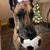 Brody Orf's profile image