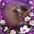 Robin Rollins's profile image