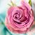 Barbara J Brennan's profile image