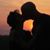 Jenny Pfeifer's profile image