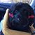 Judy Litzenberger Shatto's profile image