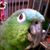 Su Wilson's profile image