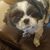 Bill Mauzey's profile image