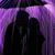 Angelina Catrina Nolan's profile image