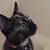 Karen Boo G's profile image