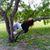 Mandi Almaguer's profile image