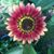 Stacy Lynn Cole's profile image