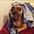 Heather Patton's profile image