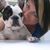 Jennifer Riston's profile image