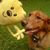 Joyce McMahon's profile image