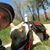 Chris Briggs's profile image